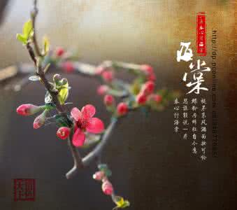 一片春心付海棠 一片春心付海棠【情感美文】