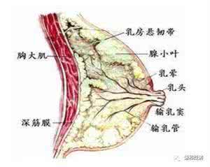 气血淤积症状 气血淤积什么征兆?气血淤积的症状