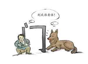 偷狗贼撞警车逃跑 注意！这不是玩笑：实拍嚣张偷狗贼一分钟实施偷狗