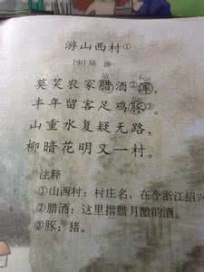 亭亭什么意思? 布衣什么意思？