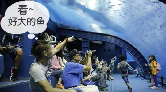 成都周边洗肺 逃离成都雾霾 成都一天打来回,逃离雾霾去“洗肺”