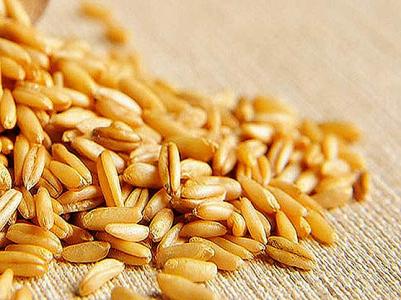 富含b族维生素的食物 燕麦富含B族维生素 细数燕麦的5大营养价值