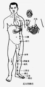 足太阴脾经 按摩常识《四,足太阴脾经 》