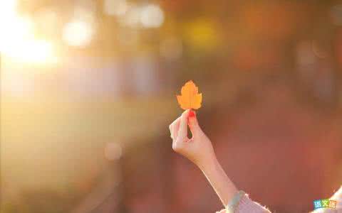 晚安心语 晚安心语：感情不是人生的全部，却是心灵最好的归宿