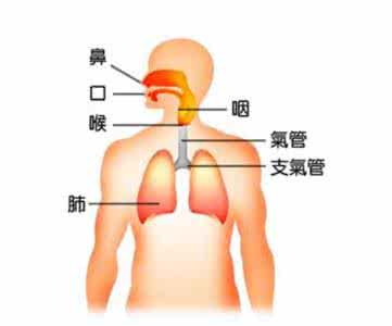 人体排毒的途径 人体三大排毒系统 教你三大途径帮男人排毒