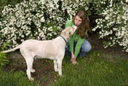 宠物情缘 宠物情缘揭示你的恋爱心理