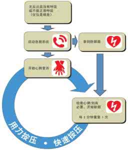 心肺复苏的关键步骤 成人心肺复苏的关键步骤和注意事项