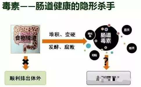 ipad如何清理系统垃圾 如何清理脏腑垃圾 春节期间如何清理脏腑垃圾