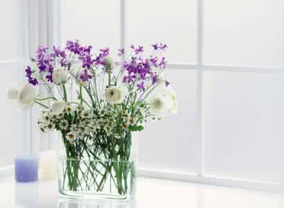 插花艺术 插花艺术--生活插花