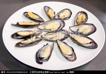 青口贝的营养价值 青口贝的做法 鲜美又营养的青口贝