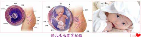 胚胎发育不好保胎成功 胚胎发育不好能保胎吗 ​胎儿发育不好怎么办