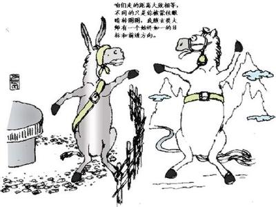 请播放马与驴子 马与驴子