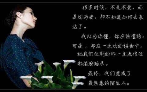 灿烂的爱情 如果爱情暗淡、就让回忆灿烂。