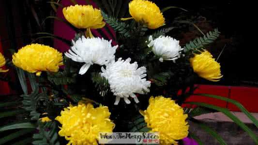 梦见去世的亲人复活了 梦见亲人去世 梦见亲人复活