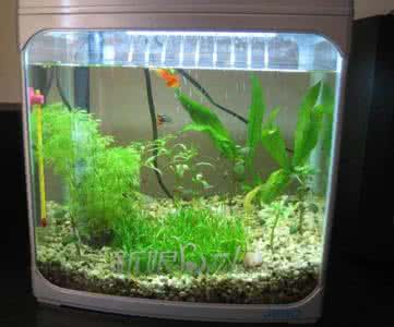 民间医疗特效妙方 家庭特效妙方