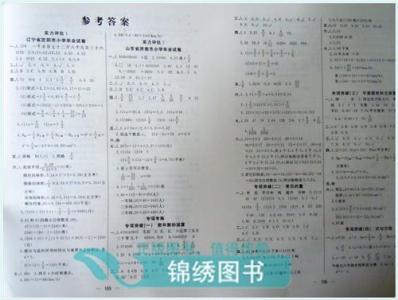 人教版小学语文总复习—小学语文修改病句专项复习