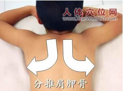 肺俞准确位置图 肺俞穴位位置图 肺俞穴位 按揉肺俞 分推肩胛骨：小儿按摩(图文)