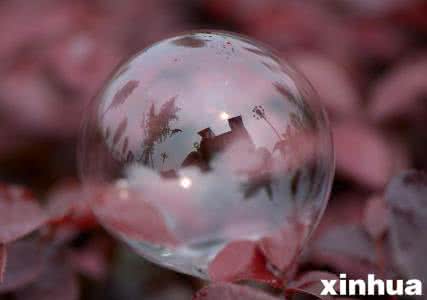 落颜浅浅清泡沫 落初的泡沫