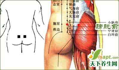 乳房保健按摩方法 神阙穴及其保健方法