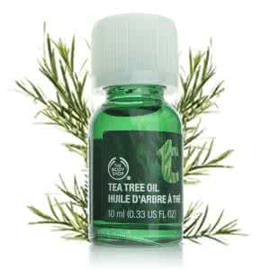 responsebody the one the body shop茶树精油