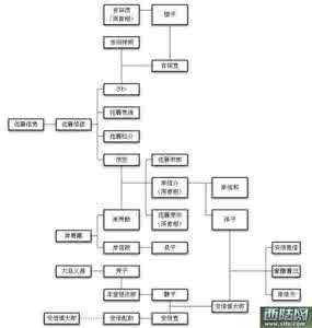 佳能自定义白平衡设置 用实力定义非凡 佳能1系前世今生