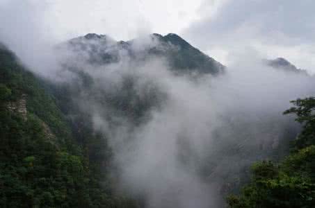 不识庐山真面目 一识庐山真面目---江西游记之庐山完结篇 