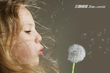 卡片力量3不死同调 疲惫生活里，那让人不死的力量