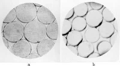 化学纤维 化学纤维着色