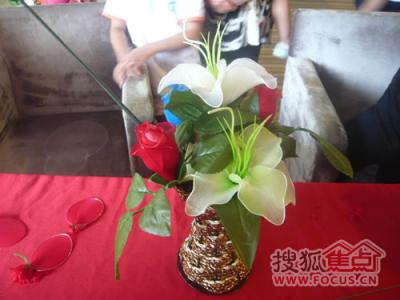 浪漫3d相册绿色破解版 绿色情人节吃什么浪漫