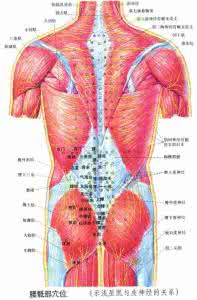 如何排除体内湿毒 排湿毒奇穴文档