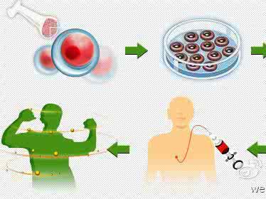 胃癌分子靶向治疗 国产晚期胃癌小分子靶向药获准上市