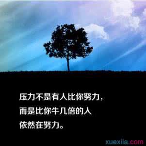 意志力科学 公开课 意志力:科学的励志和励志的科学