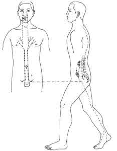 便秘对身体有害吗 多图解密人体结构:原来便秘是这么形成的