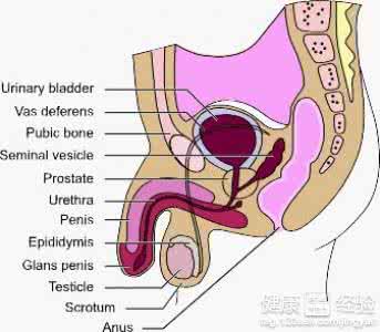龟头炎反复发作怎么办 龟头炎会反复发作么？