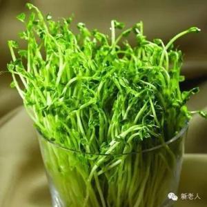 清明后再不吃这8种'芽',可就亏大了!