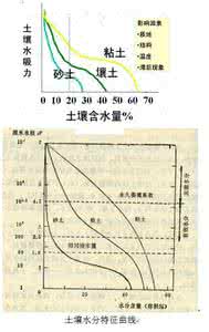 土壤水分含量 土壤水分含量 土壤水分含量的表示方法
