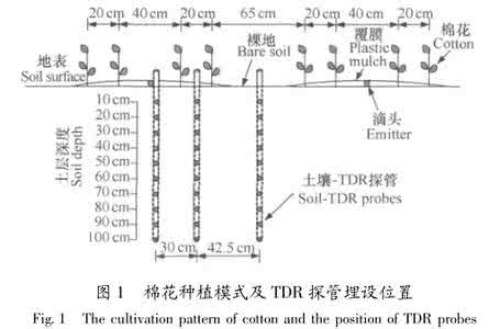 棉花滴灌 不同水分处理对膜下滴灌棉花生理指标及产量的影响