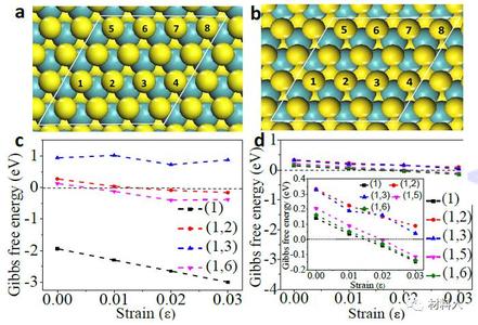 核酸外切酶 基于核酸外切酶Ⅲ诱导的双重信号放大与MoS2纳米片荧光猝灭性质的核酸检测方法