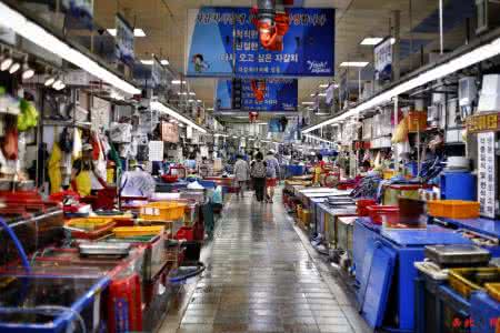 生猛海鲜 探访韩国海鲜市场 生猛海鲜直接加工味好鲜(组图)