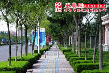 人行道 人行道 梦见人行道