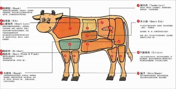 牛肉的各部位名称图解 牛肉结构图