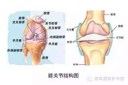 膝盖疼贴什么膏药 爸妈膝盖疼该怎么办？贴膏药、按摩、理疗还是手术？