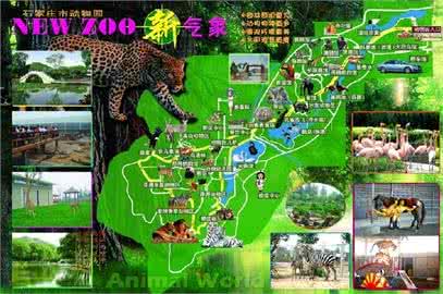 石家庄动物园路线 石家庄动物园路线 【石家庄动物园怎么走】石家庄动物园行车路线