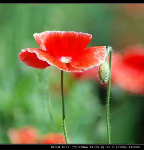 我的心痛你知道吗 转：心有多痛只有自己知道