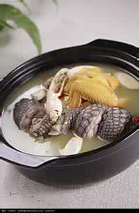 上海高架桥龙柱鳄鱼精 人参鳄精