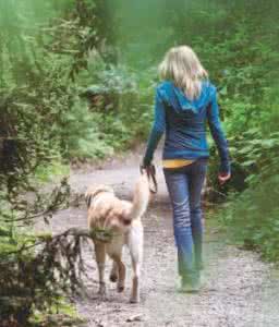 狗狗社会化训练 如何训练狗狗的社会化