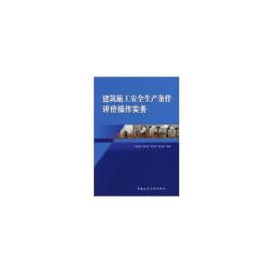 水利水电工程安全评价 安全评价操作实务讲座（九）：水电水利行业的安全评价