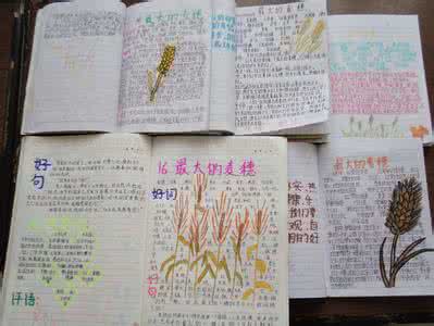 读书笔记 读《中国共产党历史》——读书笔记