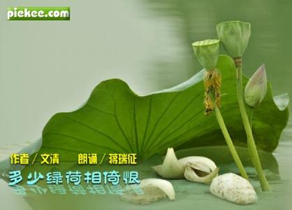 摇篮曲月儿明风儿静 初夏的一场雨：风儿在摇，真的好想你