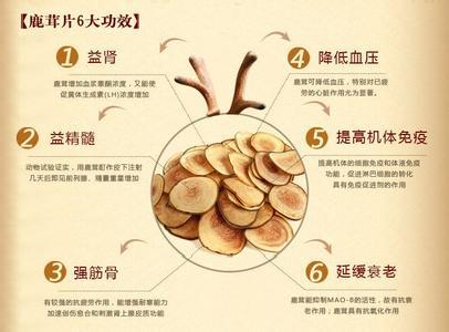 鹿茸片的功效与作用 鹿茸功效